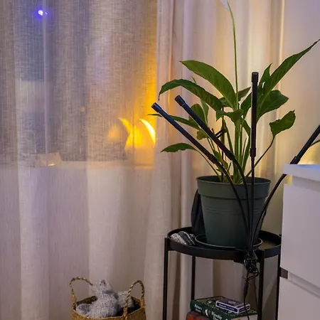 Apartament Modern In Center *