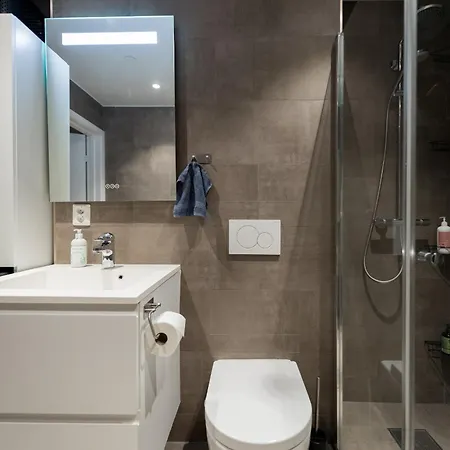 Apartament Modern In Center *